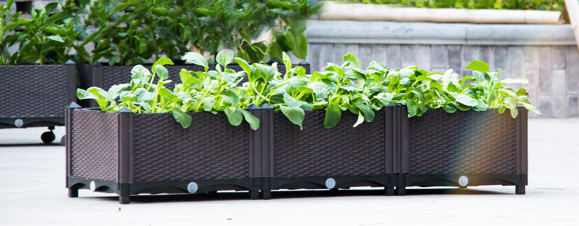 Gardening Supplies