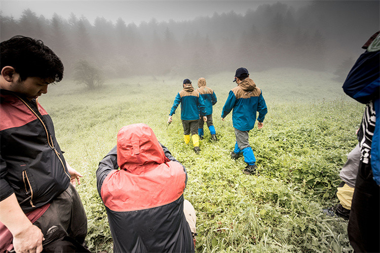 What is SURVIVA Wilderness Survival?
